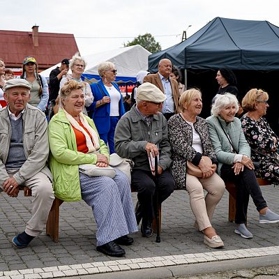 VIII Franciszkański Festyn Rodzinny w Ostródzie grafika